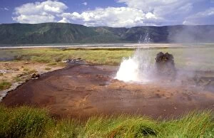 FL-3285 Lake Bogoria - soda lake with hot springs and geysers habitat of flamingos