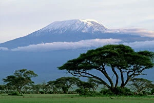FL-3307 Mt Kilimanjaro in Tanzania