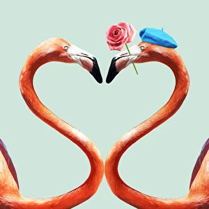 Flamingos Gallery: Flamingo, a pair of Flamingos creating a heart