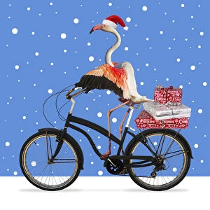 Flamingo, wearing a Christmas hat riding a bike