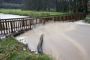 Flash flood - damage to footbridge after torrential autumn rain - Lower Saxony - Germany