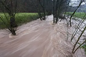 Floods Prints: Flash flood - in hill land stream after torrential autumn rain - Lower Saxony - Germany