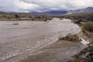 Flooding Prints: Flash Flooding Sonoran Desert, Arizona, USA