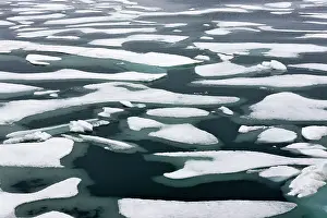 Floating Prints: Floating ice in Chukchi Sea, Russian Far East Date: 29-07-2012