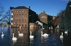 Cities Gallery: FLOOD - Flooding On River Severn