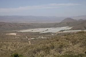 Images Dated 8th January 2011: Flower farm development and geothermal drilling close to Lake Naivasha Rift Valley - Kenya - East