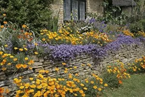 Images Dated 21st June 2005: Flower Garden and stone wall Chipping Campden, Cotswolds