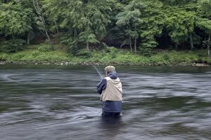 Images Dated 30th August 2007: Fly Fishing on the River Tay for Atlantic salmon