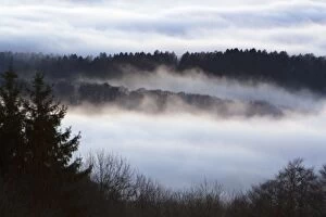 Images Dated 24th December 2006: Fog - over Meissner Hills Meissner nature park, north Hessen, Germany