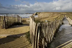 Footpaths Prints: Footpath leading to beach - Cote-Sauvage - Brittany - France