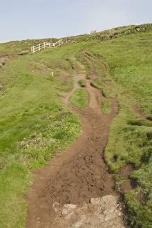 Footpaths Prints: Footpath - worn cliff path. Caerthillian National Nature Reserve The Lizard Cornwall UK