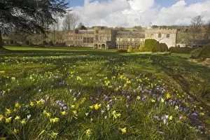 Gardening Prints: Forde Abbey, Dorset, in early spring