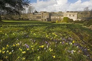 Images Dated 9th March 2008: Forde Abbey, Dorset, in early spring, with daffodils, crocuses etc