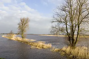 Floods Prints: Foreland flooded river in winter The Netherlands