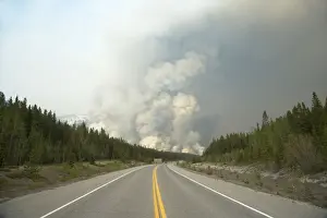 Smoking Prints: Forest Fire - controlled burn June 2009 Saskatchewan Valley Banff National Park Alberta