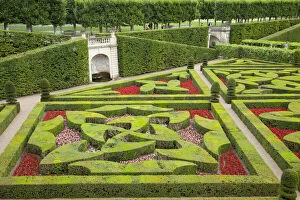 Images Dated 27th March 2013: Formal gardens of Chateau Villandry near