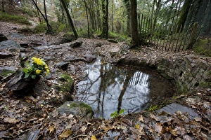 Images Dated 9th December 2006: The fountain of Eternal Youth - Brittany - France