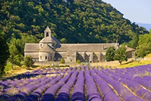 Images Dated 11th March 2011: France, Gordes. Cistercian monastery of