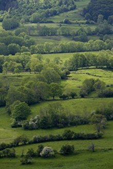 Images Dated 4th June 2006: France - landscape