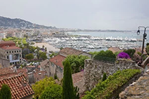 France, Provence, Cannes. Overview of harbor