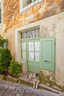 France, Provence, Gorde. Dog rests in doorway