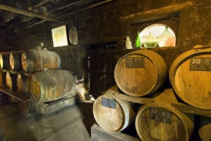 Images Dated 18th June 2010: France, Sept Forges, barrels in the cellar