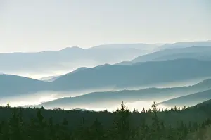 Sympathy Prints: France WAT 3464 Vosges Mountains to the west of Champ du Feu © M. Watson / ardea. com