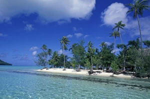 French Polynesia, Tahiti, Bora Bora
