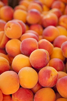 Fresh apricots for sale at the market in
