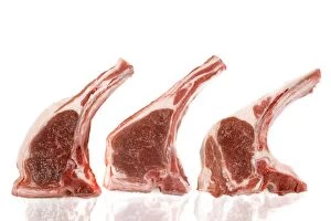 Images Dated 14th September 2009: Fresh Meat - Lamb chops
