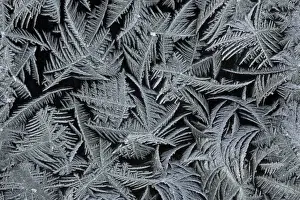 Patterns Prints: Frost Crystals - On car windscreen Lower Saxony, Germany
