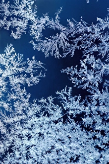 Images Dated 5th March 2008: Frost on Glass. Crystals of frozen condensation form on glass when temperatures drop to freezing