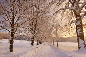 Road Collection: Frosty Winter Scene - deep snow covered winter landscape showing a plowed country road flanked by