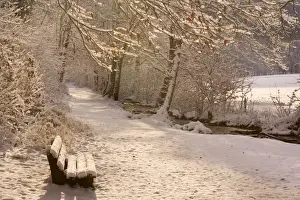 Frosty Winter Scene - deep snow covered winter landscape showing a foot path along a creek and a bench - Swabian Alb - Baden-Wuerttemberg - Germany