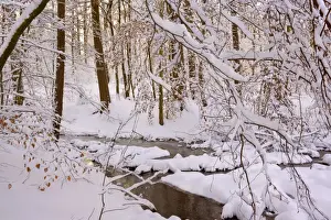 Frosty Winter Scene - winter landscape with thick snow covered branches of trees in a forest - with a creek - Swabian Alb - Baden-Wuerttemberg - Germany