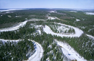 Frozen river meanders in Taiga-forest, a tributary of river Taz Frozen river meanders in Taiga-forest, a tributary of river Taz