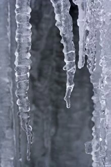 Images Dated 4th December 2010: Frozen Water - a curtain of icicles under a frozen waterfall in winter - Swabian Alb