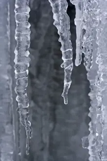 Icicle Prints: Frozen Water - a curtain of icicles under a frozen waterfall in winter - Swabian Alb - Baden-Wuerttemberg - Germany