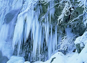Frost Collection: Frozen waterfall icicles and frosty plants Bad Urach, Baden-Wuerttemberg, Germany
