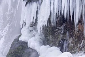 Images Dated 4th December 2010: Frozen Waterfall - a waterfall in winter with numerous icicles and snow and ice covered rocks