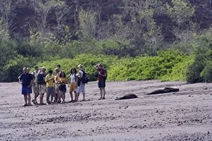 Images Dated 10th April 2005: Galapagos Sealion with tourists on beach