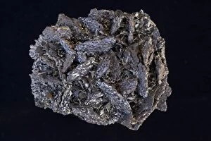 Images Dated 21st February 2011: Galena (PbS - lead sulfide) - The primary ore of lead - Spinel twins - Madan - Bulgaria