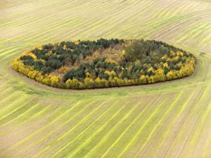 Hunters Prints: Game Coverts. Inkpen / Inkpen Hill