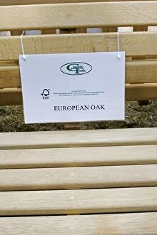 Garden bench with FSC logo made of European oak