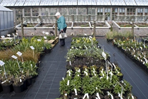 Images Dated 26th April 2008: Garden Centre