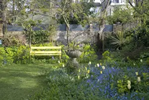 Garden Flowers including Smyrnium perfoliatum behind bench - Spring