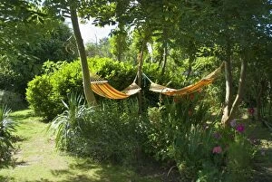 Images Dated 29th July 2012: Garden - with hammocks