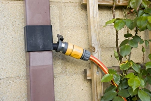 Images Dated 22nd April 2007: Garden - hosepipe connected to rainwater diverter on drainpipe taking rainwater to pond through