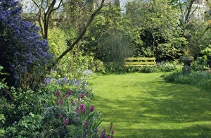 Images Dated 16th February 2007: Garden - plants flowers & lawn, in spring