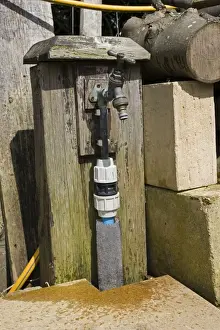 Cotswolds Prints: Garden Tap - Water dripping from outside brass tap UK